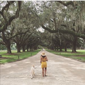 Meet your Posher, Camille